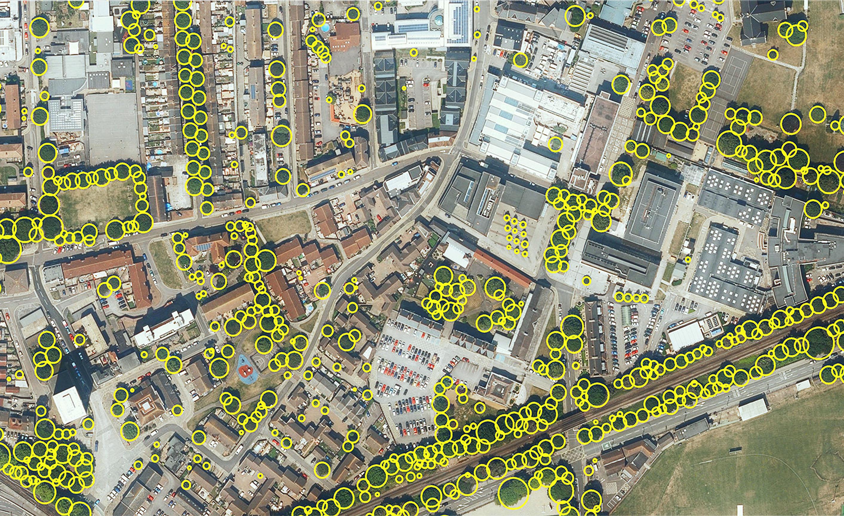 Aecom Uses Bluesky Tree Map To Assess Opportunities And Risks In