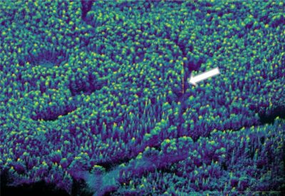 Image 2 UAV LiDAR Point Cloud Of Area Around Flux Tower 400x275