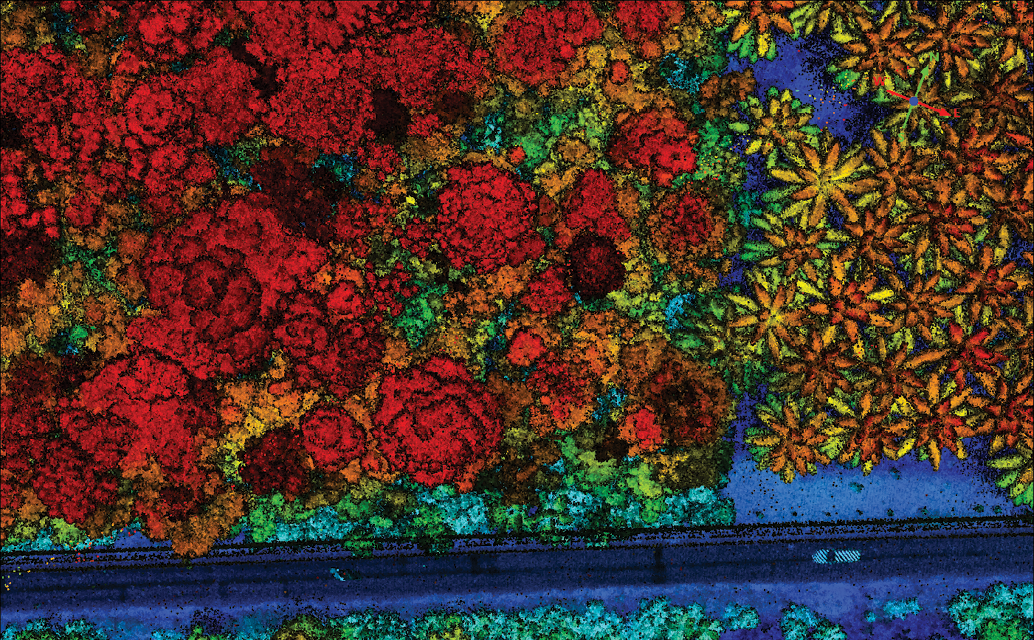Digital Twins Open Up New Possibilities For Rainforest Conservation ...
