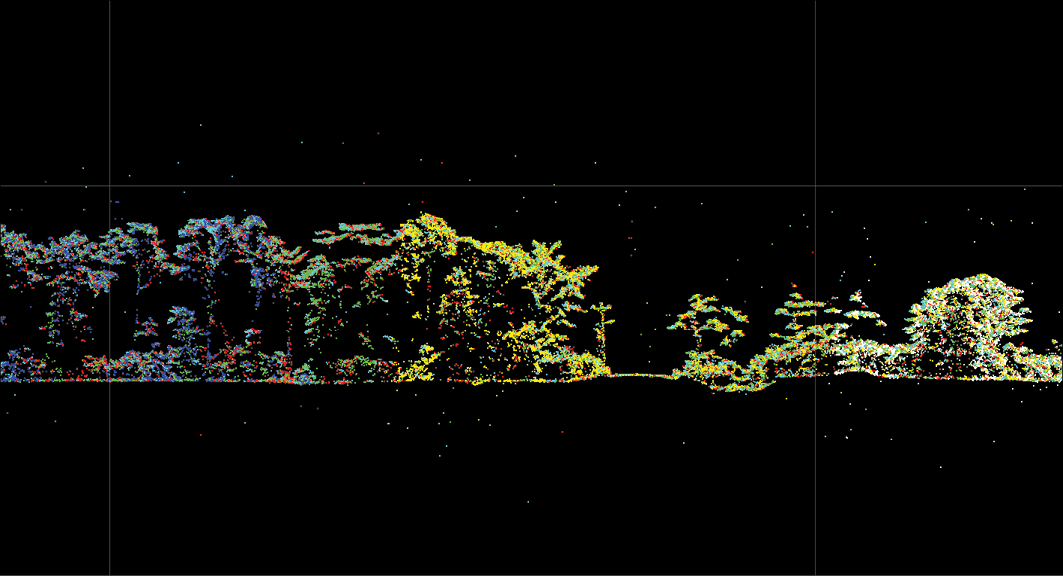 Digital Twins Open Up New Possibilities For Rainforest Conservation ...