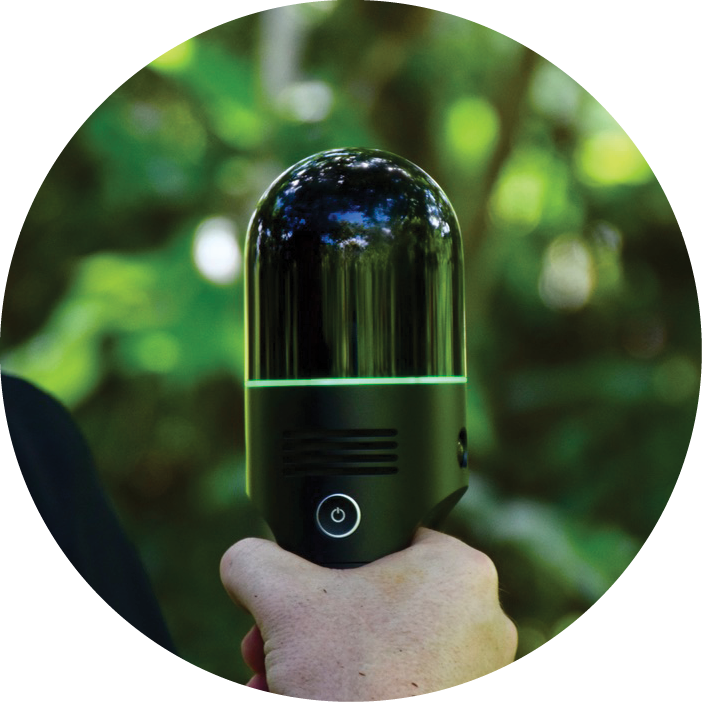 Digital Twins Open Up New Possibilities For Rainforest Conservation ...