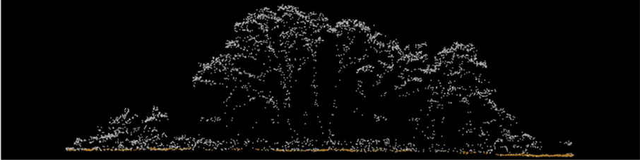 Optimal Point Density Fig 1a