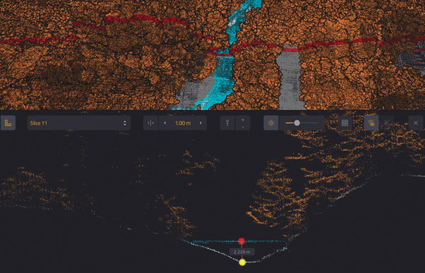 Picture 4 Slice Under River Bank Vegetation