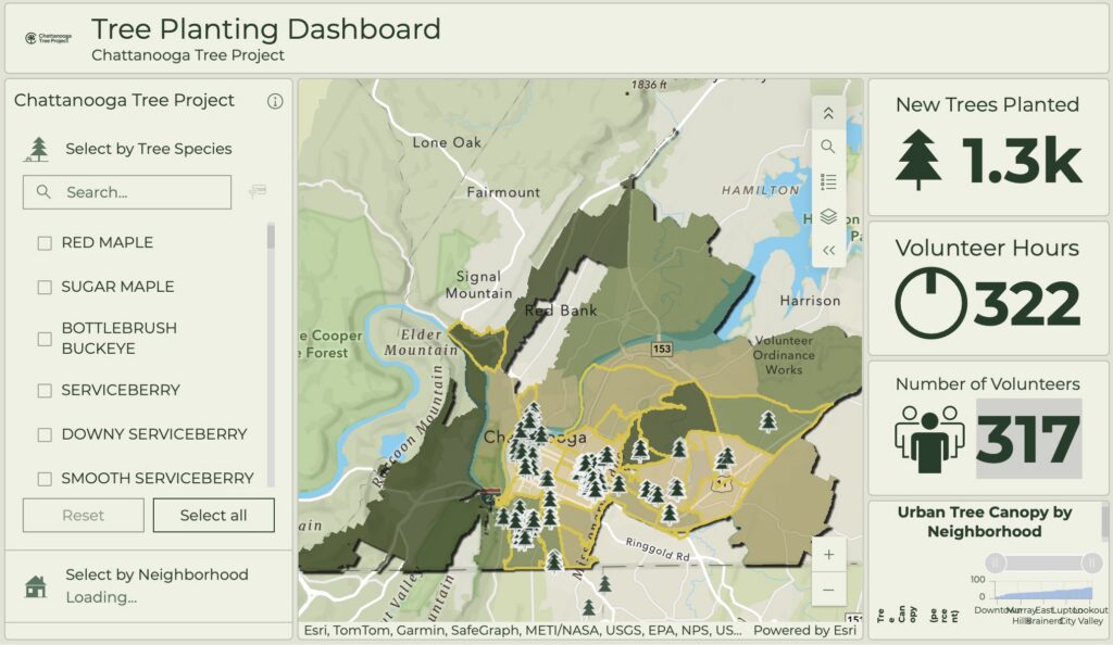 Tree Planting Dashboard
