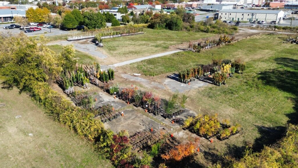 Tree Nursery Drone