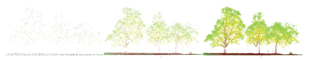 Figure1b Densite Lidar Arbres
