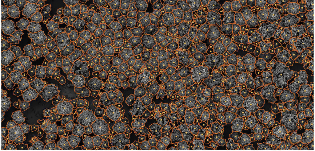 Figure3 Segmentation2d