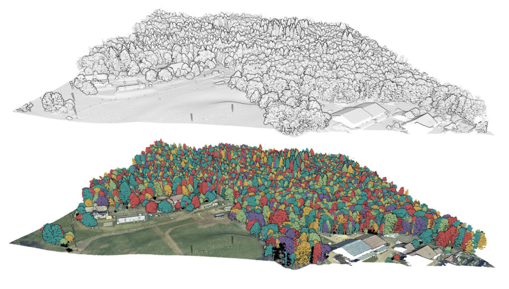 Figure4 Segmentation3d