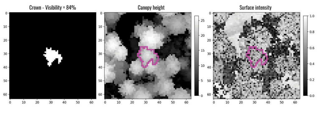 Figure4 Segmentation Step1